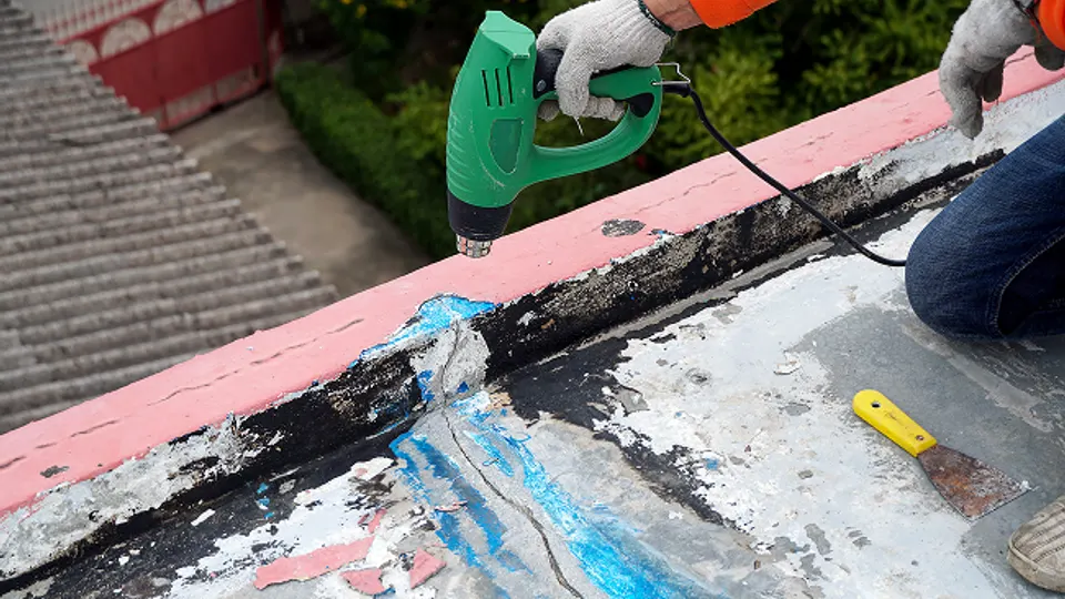 Lesson thumbnail: Roof Leaks