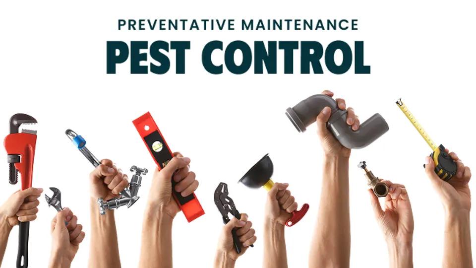 Lesson thumbnail: Preventative Maintenance: Pest Control